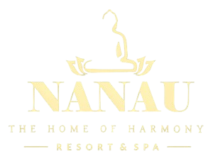 Nanau-Logo-Gold-scaled-e1750924171722-300x224-removebg-preview